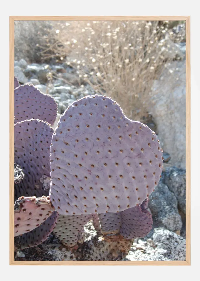 Cactus Plakat