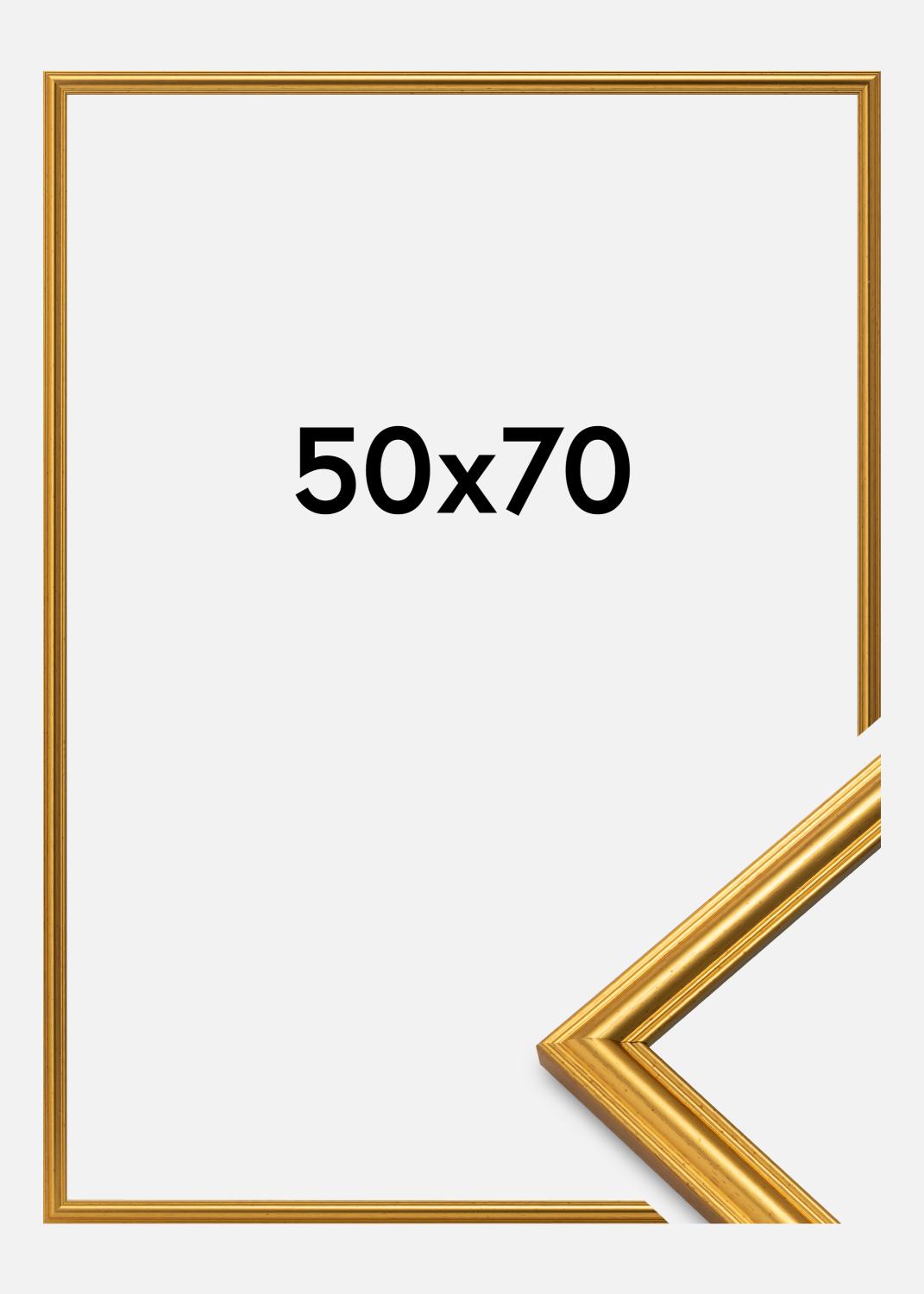 Product Image for Ramme Carl Guld 50x70 cm