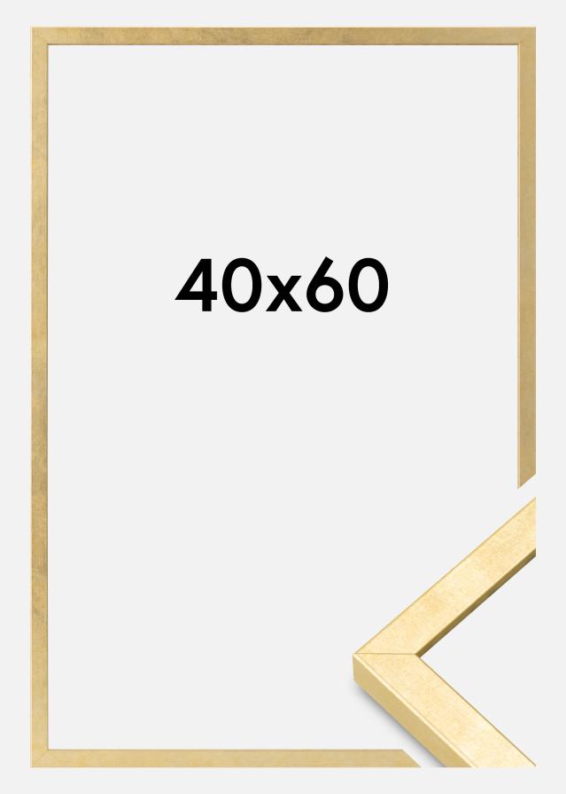 Ramme Ares Akrylglas Guld 40x60 cm