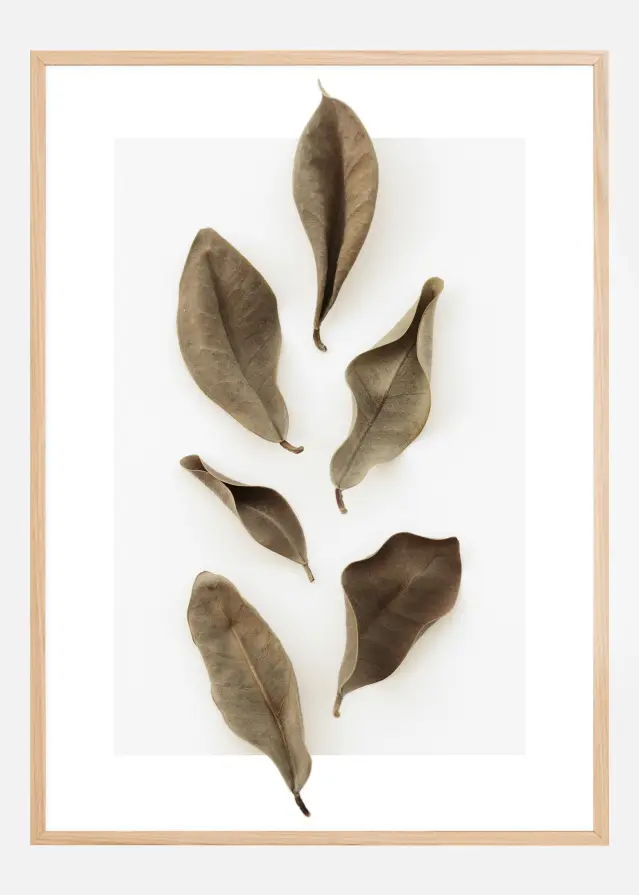 Dried Leaves Plakat