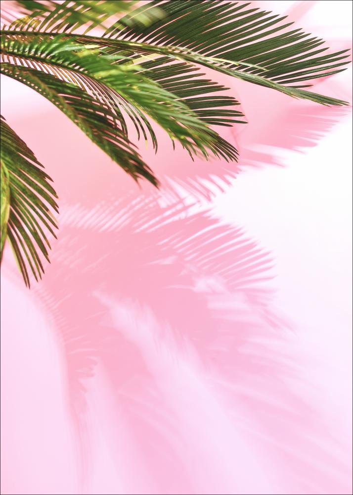 Palm Leaf