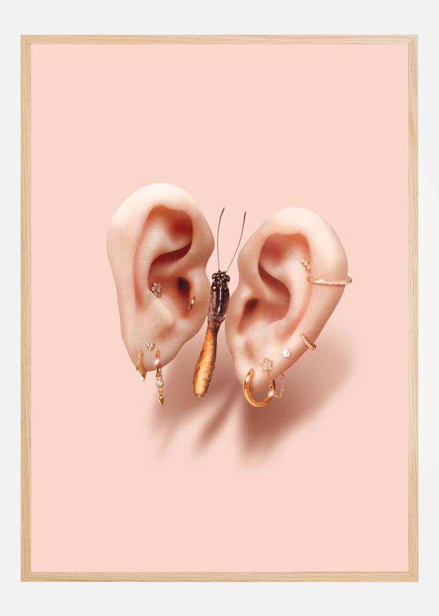 Butterfly Ears Plakat