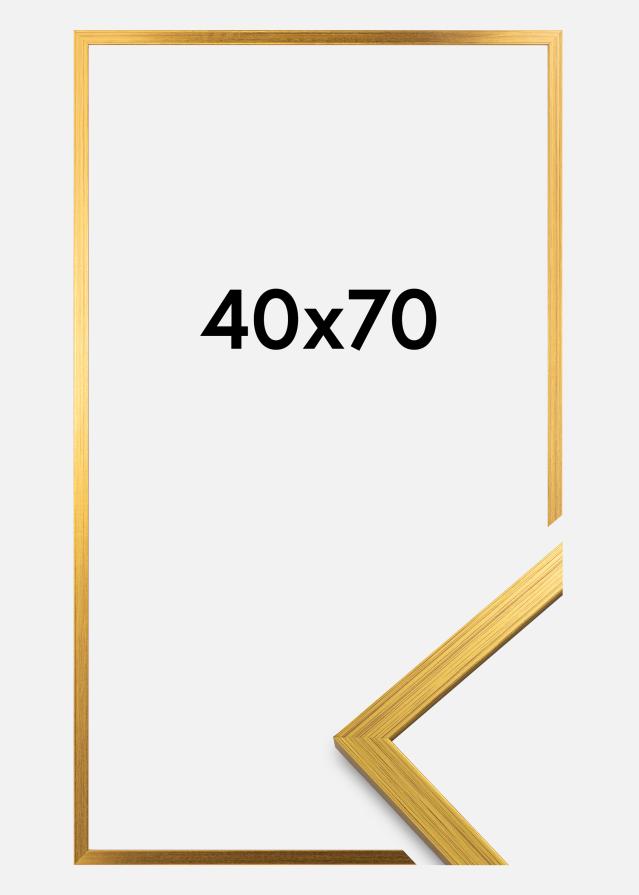 Ramme Edsbyn Guld 40x70 cm