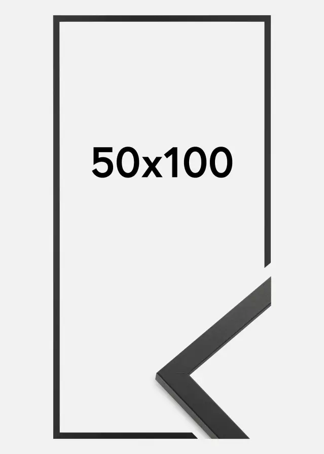 Ramme Trendy Akrylglas Sort 50x100 cm