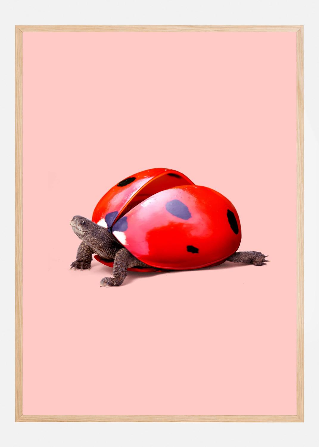 Product Image for Ladybug Turtle Plakat (21x29.7 cm (A4))