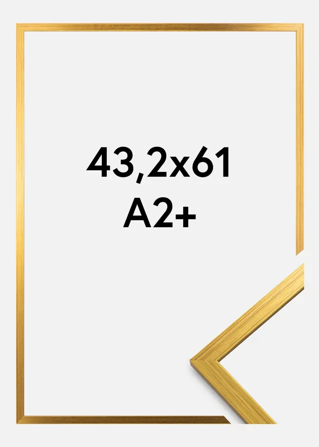 Ramme Edsbyn Guld 43,2x61 cm (A2+)