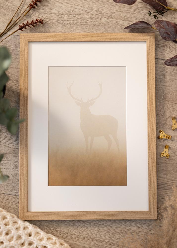 Ramme Deco Akrylglas Eg 29.7x42 cm (A3)