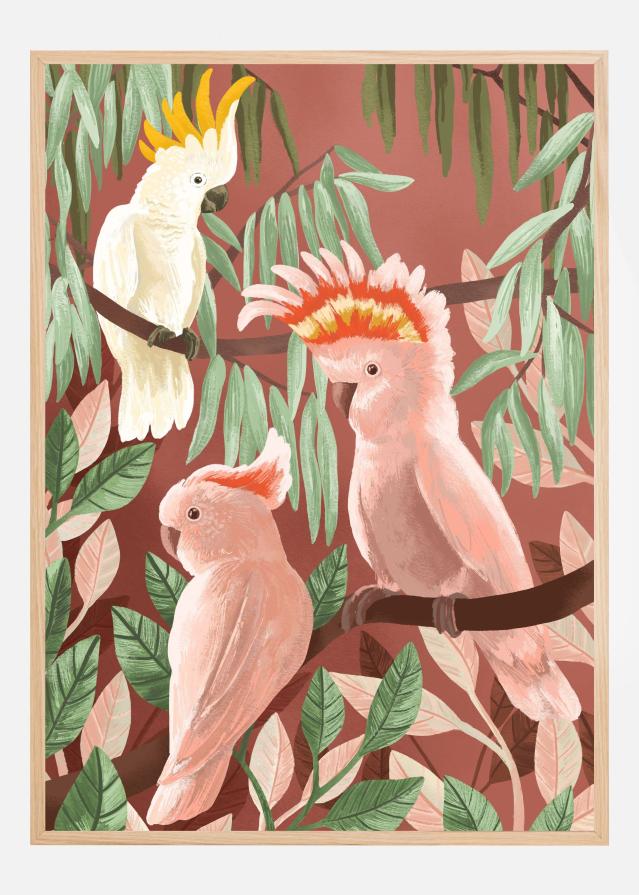 Cockatoos Plakat