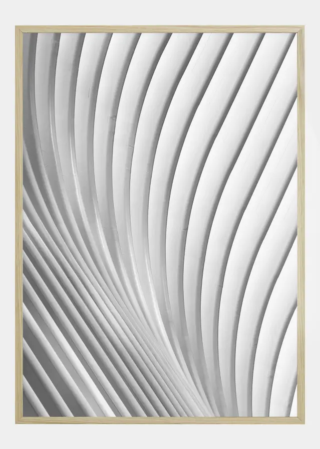 Calatrava Lines Plakat