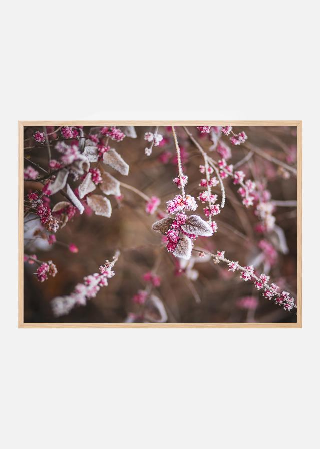 Blomst Nærbillede Plakat