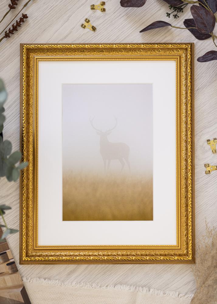 Ramme Ornate Akrylglas Guld 42x59,4 cm (A2)