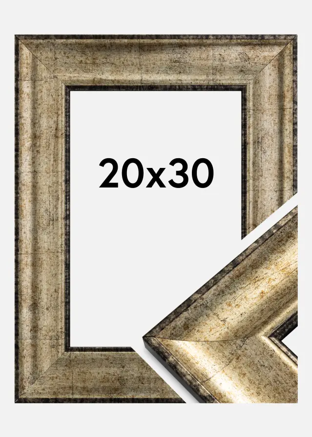 Ramme Saltsøbadet Antikguld 20x30 cm