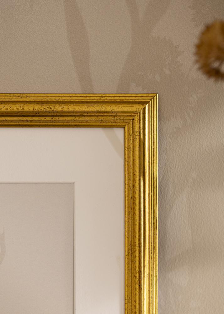 Ramme Västkusten Akrylglas Guld 45x60 cm