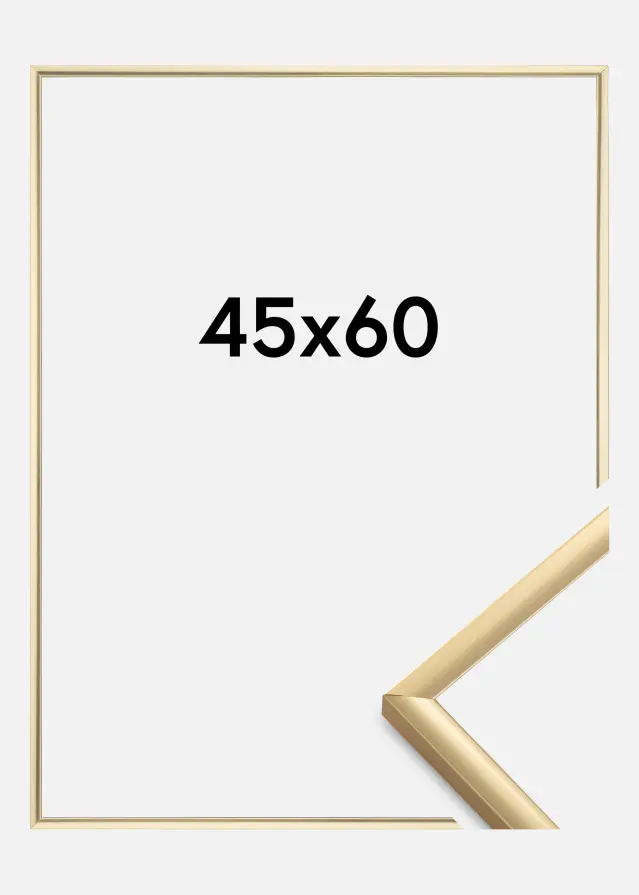 Ramme New Lifestyle Guld 45x60 cm