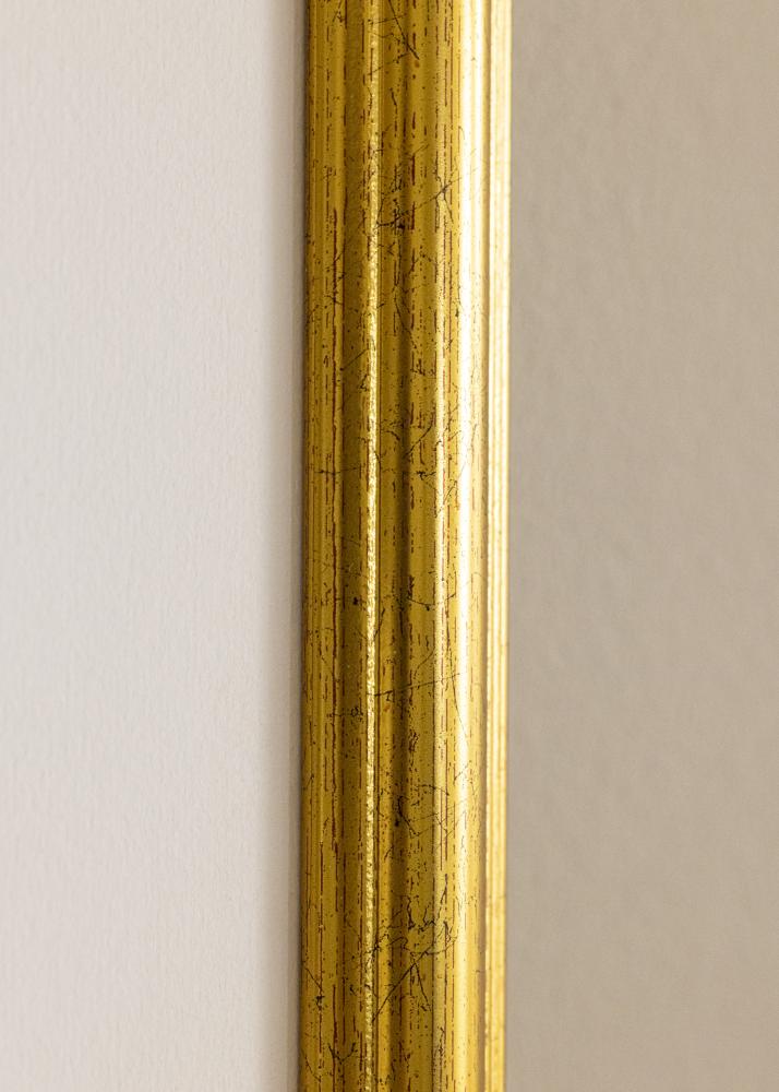 Ramme Västkusten Akrylglas Guld 45x60 cm