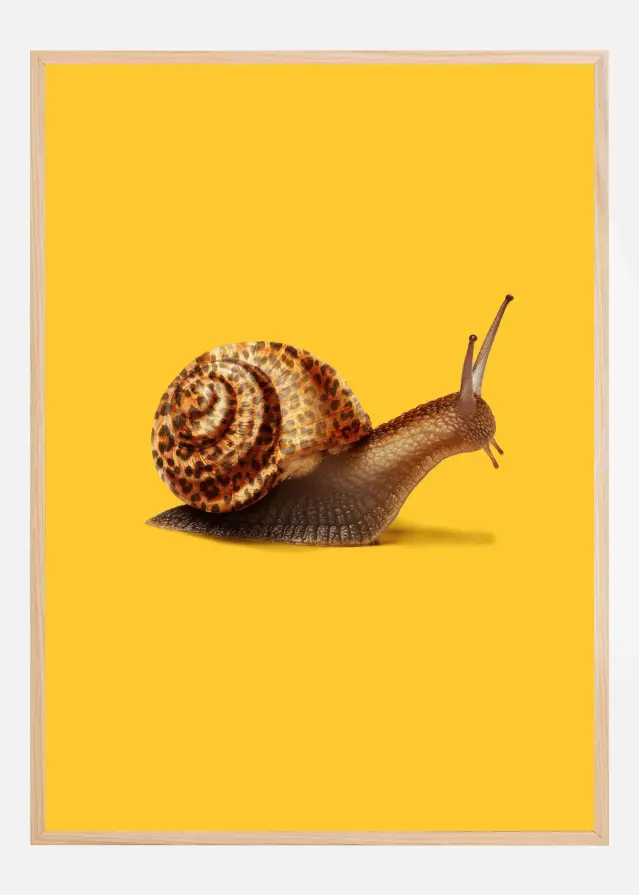 Fast like Cheetah Plakat