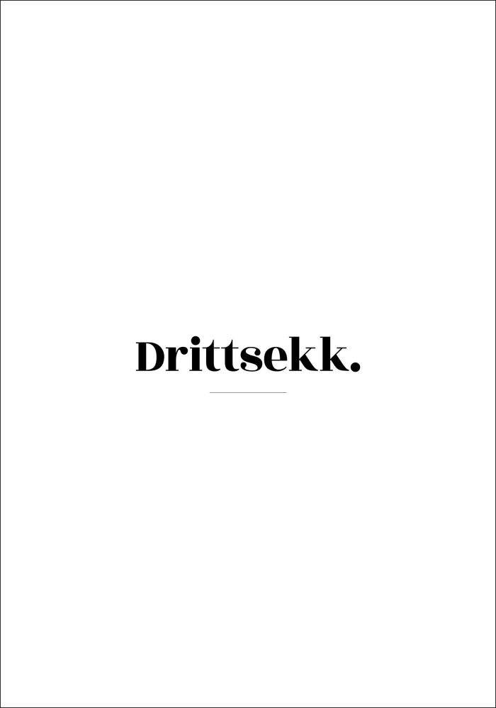 Citat - Skam - Drittsekk - Hvid Plakat
