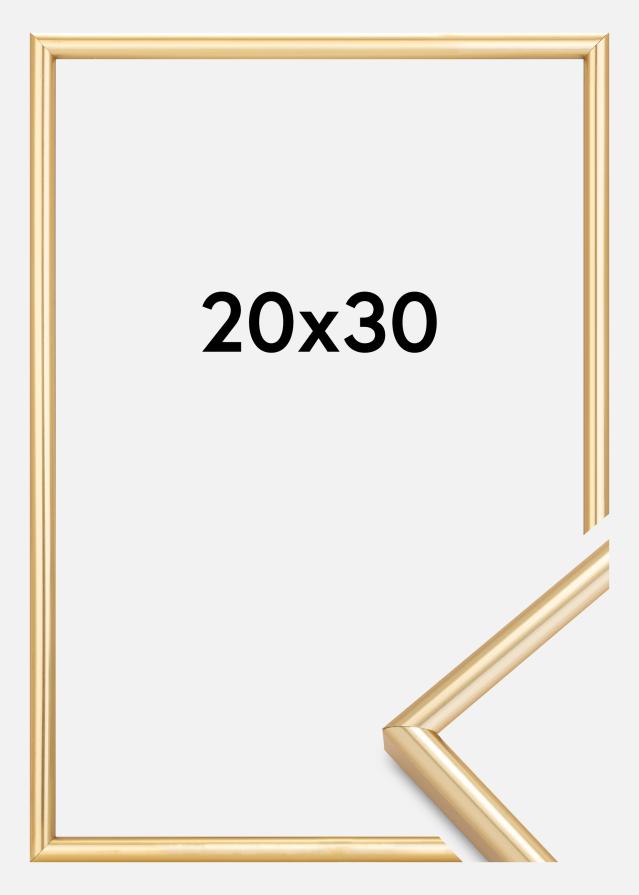 Ramme Galeria Guld 20x30 cm