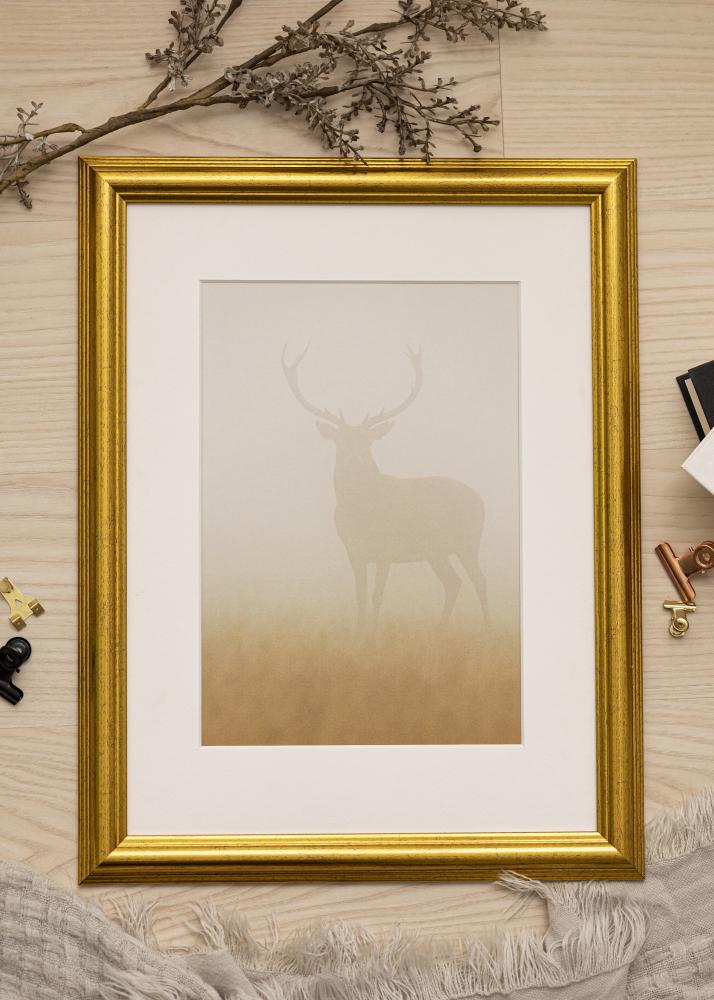 Ramme Västkusten Akrylglas Guld 45x60 cm