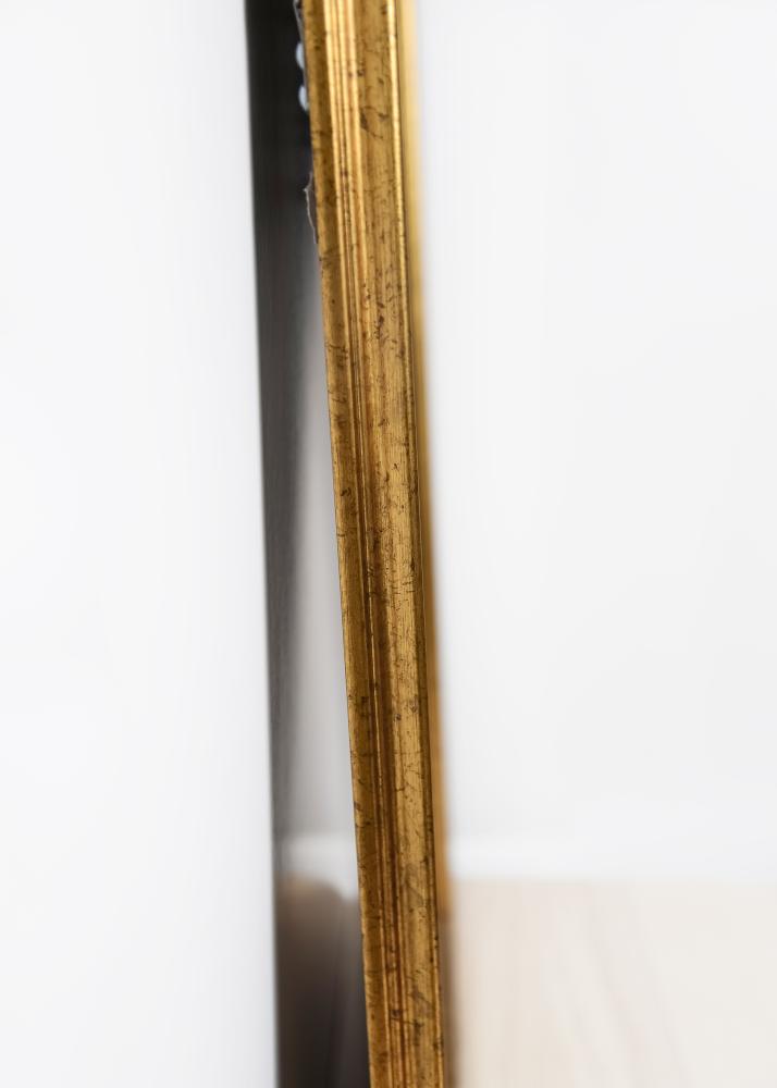 Spejl Alice Guld 48x88 cm