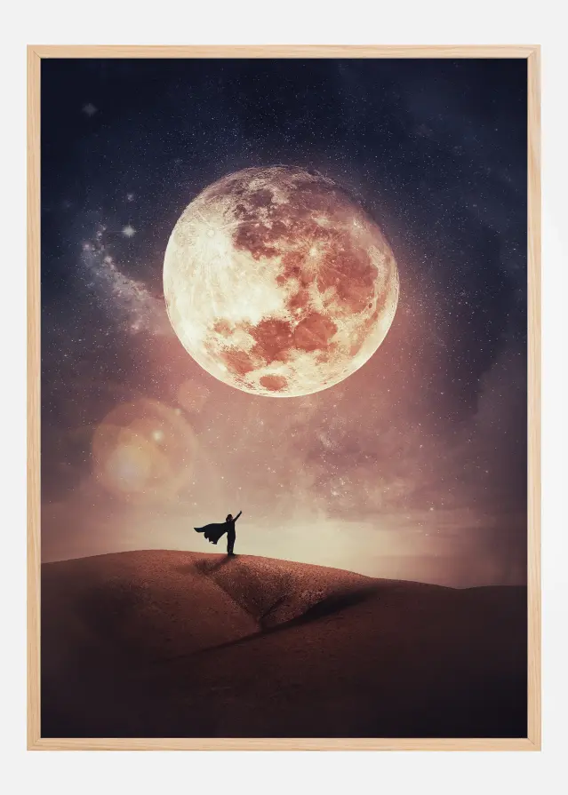 Look at the moon Plakat