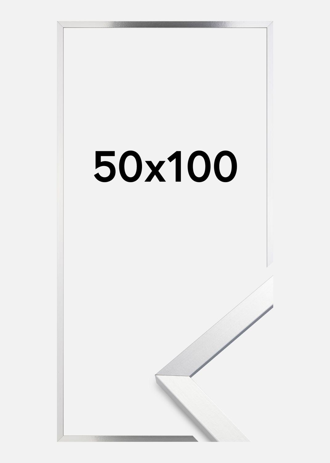 Product Image for Ramme Trendy Akrylglas Silver 50x100 cm