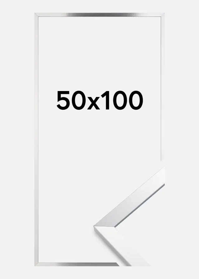 Ramme Trendy Akrylglas Silver 50x100 cm