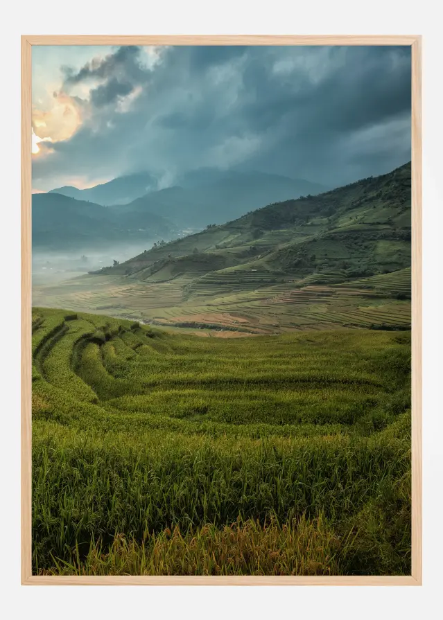 The Hills Plakat