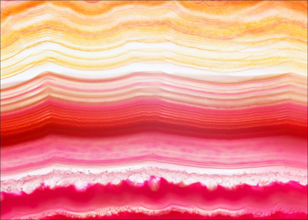 Agate - Rosa / Gul II Plakat