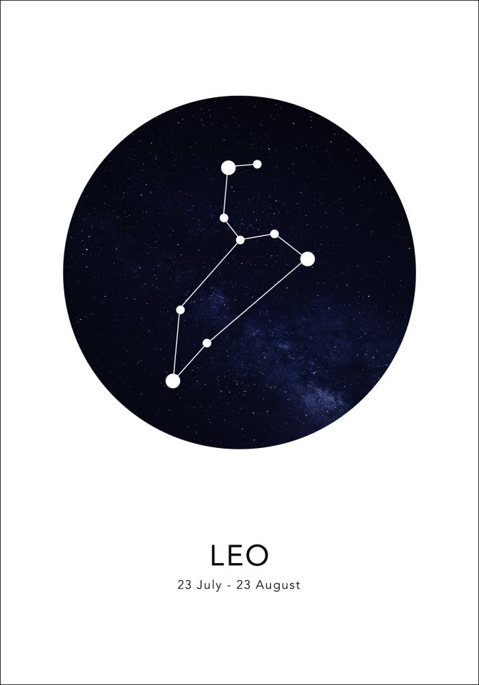 Leo Plakat