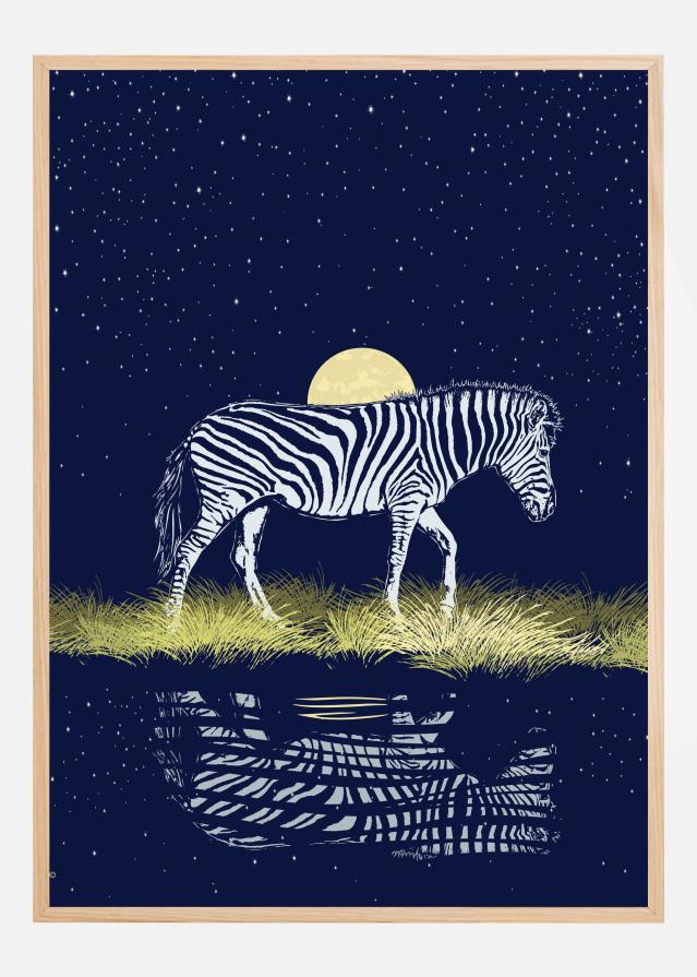 Zebra at Waterhole Moonrise Plakat