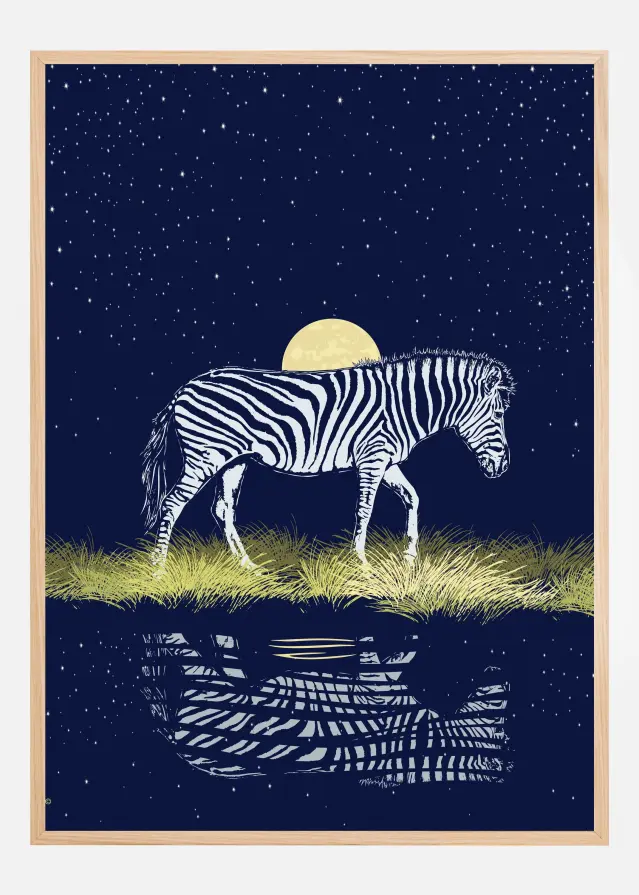 Zebra at Waterhole Moonrise Plakat