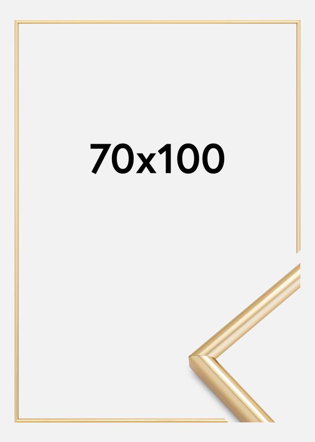 Ramme Galeria Guld 70x100 cm