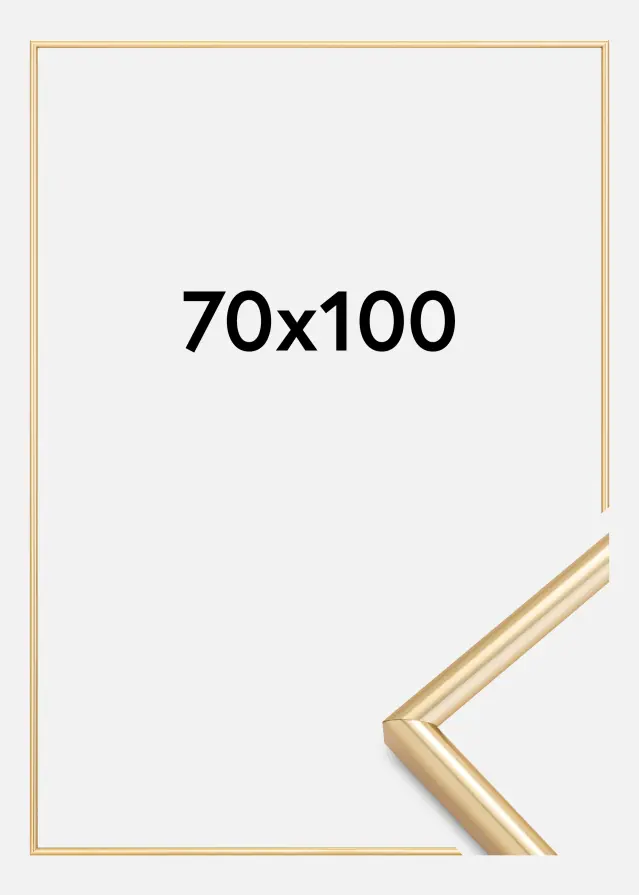 Ramme Galeria Guld 70x100 cm