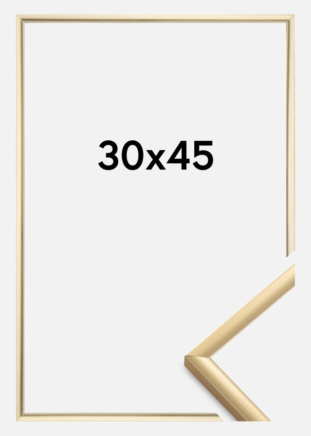 Ramme New Lifestyle Guld 30x45 cm