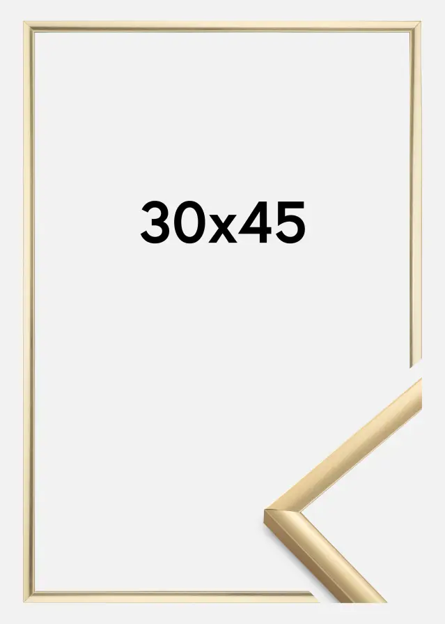 Ramme New Lifestyle Guld 30x45 cm