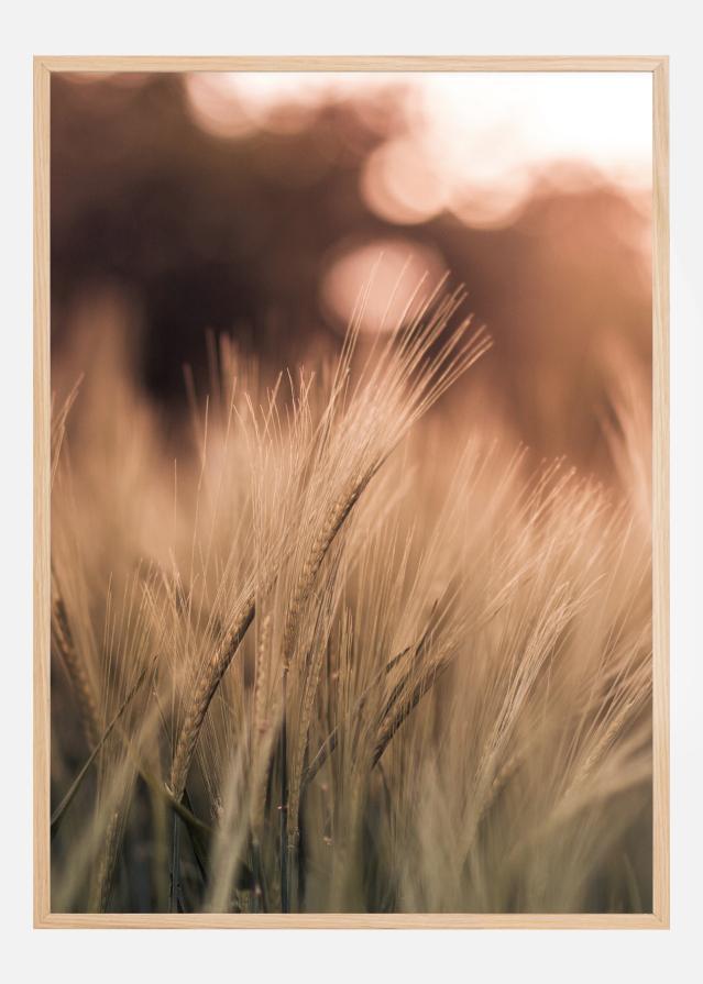 Wheat Fields I Plakat