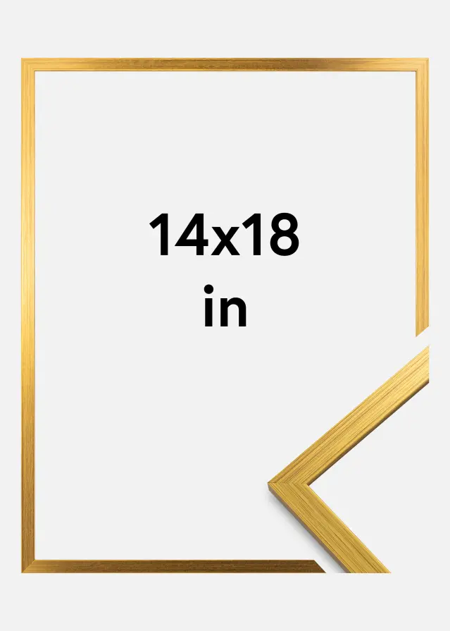 Ramme Edsbyn Guld 14x18 inches (35,56x45,72 cm)