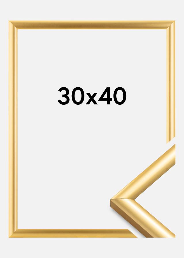 Ramme Trendstyle Guld 30x40 cm