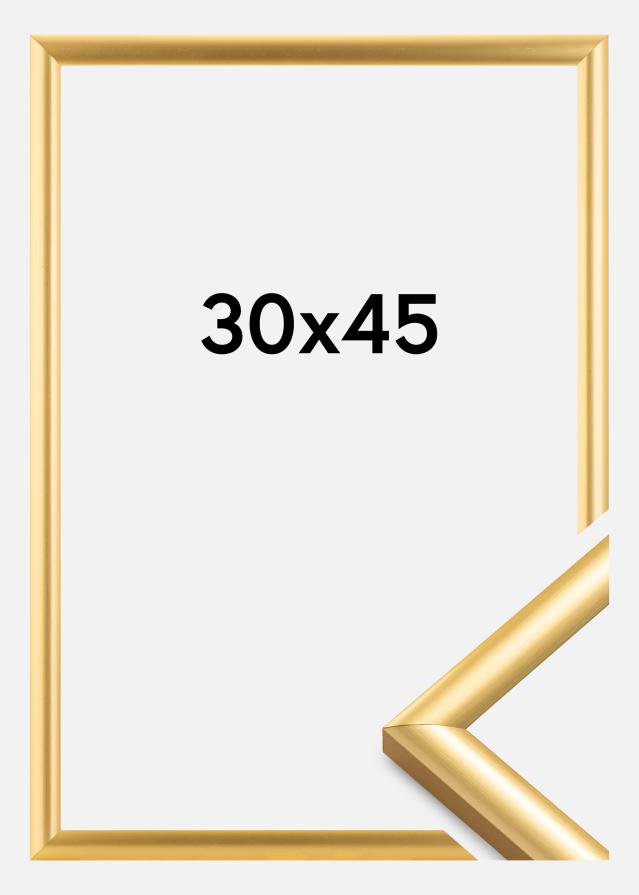 Ramme Trendstyle Guld 30x45 cm