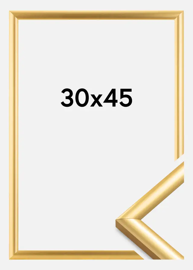 Ramme Trendstyle Guld 30x45 cm