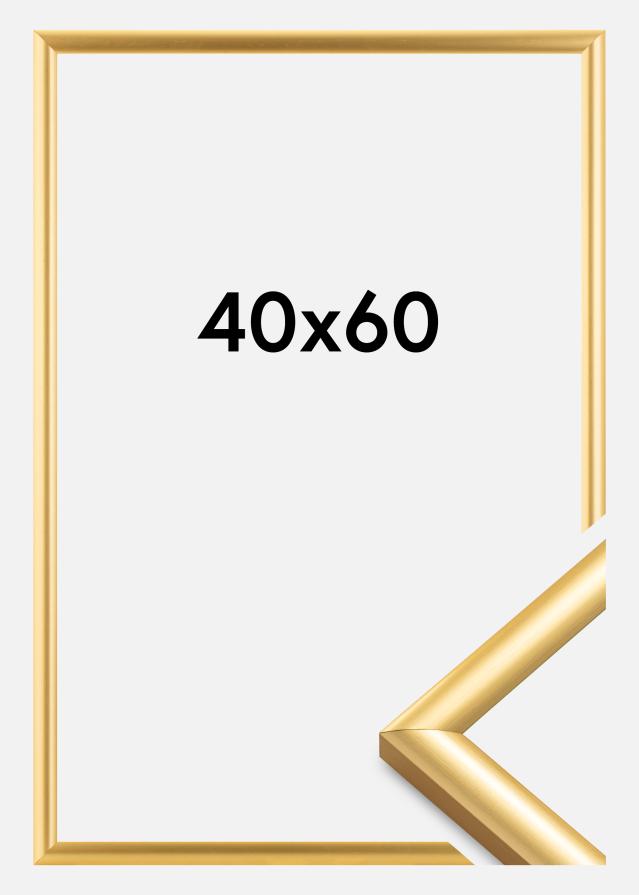 Ramme Trendstyle Guld 40x60 cm