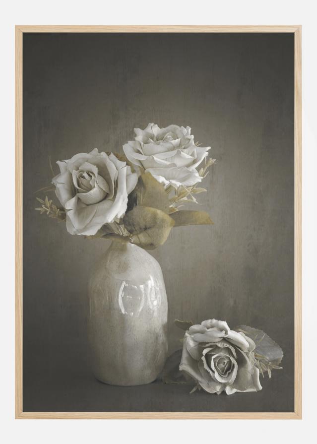 Softened Plakat