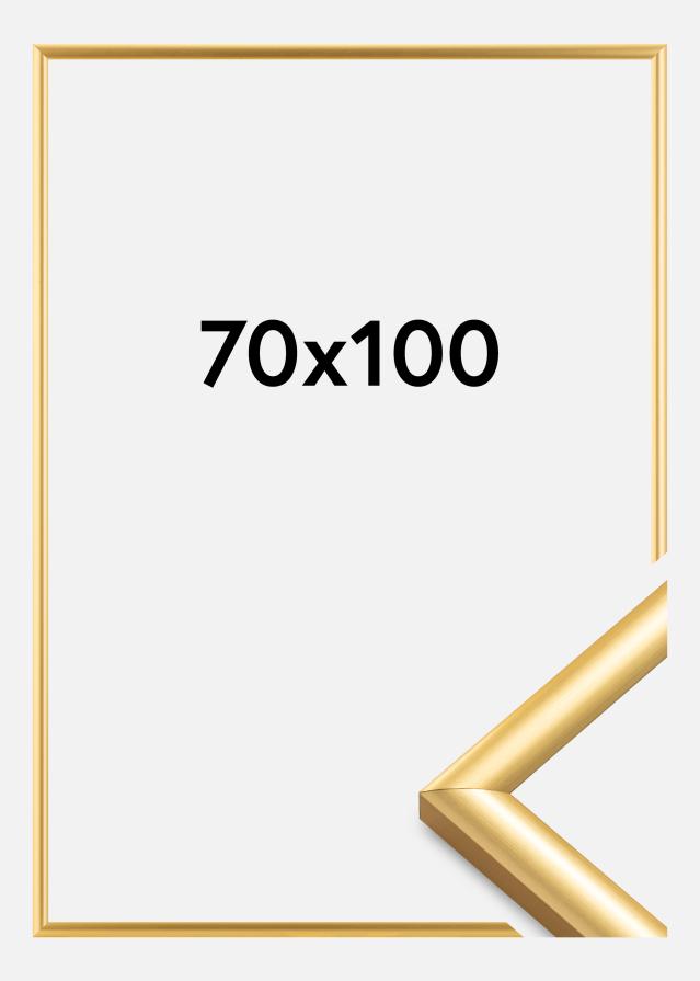 Ramme Trendstyle Guld 70x100 cm