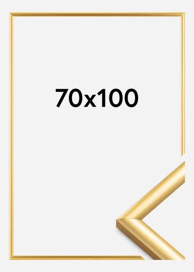 Ramme Trendstyle Guld 70x100 cm
