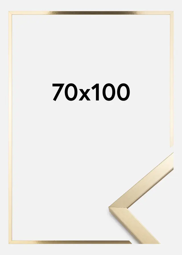 Ramme Trendy Akrylglas Guld 70x100 cm