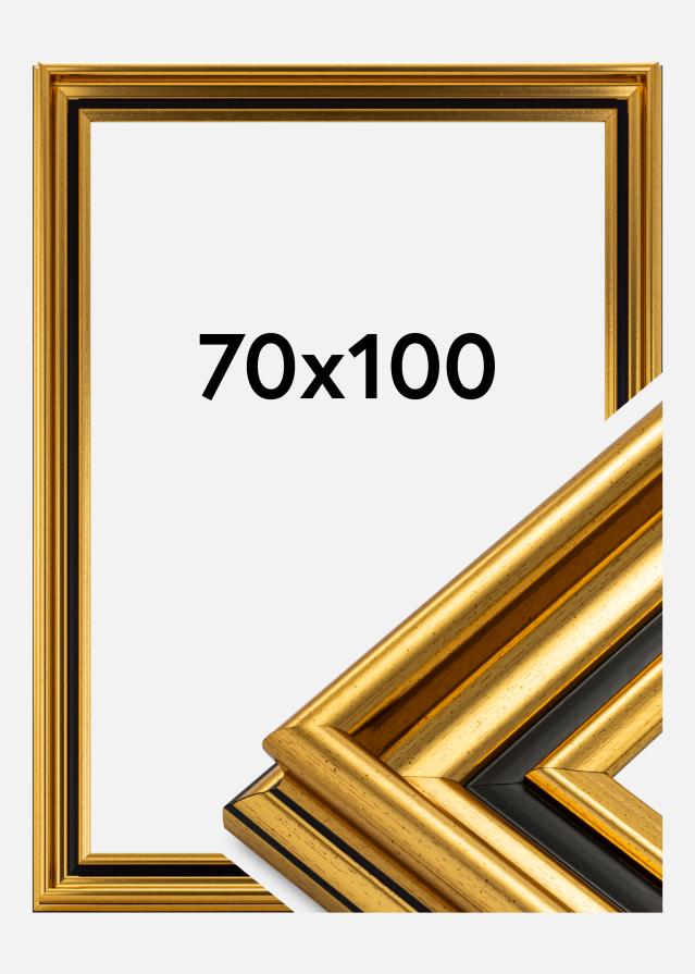 Ramme Gysinge Premium Guld 70x100 cm