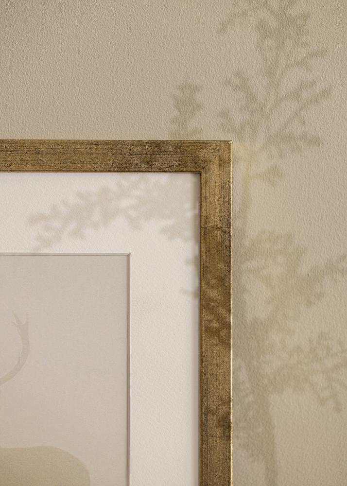 Ramme Stilren Akrylglas Guld 30x40 cm