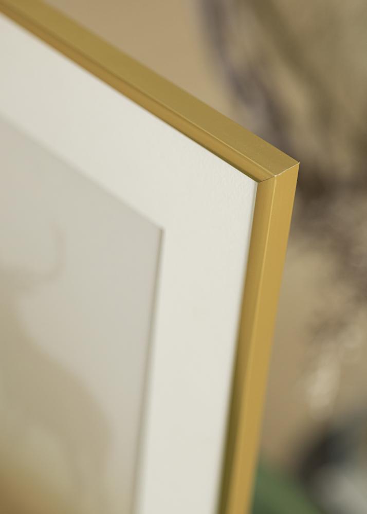 Ramme New Lifestyle Akrylglas Guld 30x40 cm