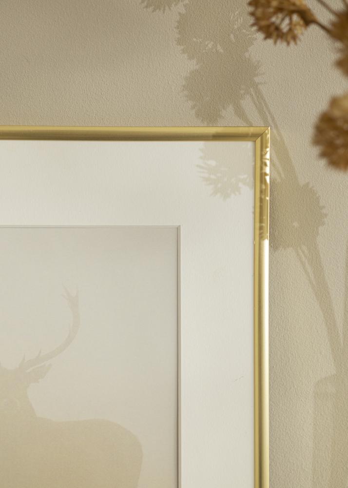 Ramme New Lifestyle Akrylglas Guld 30x40 cm